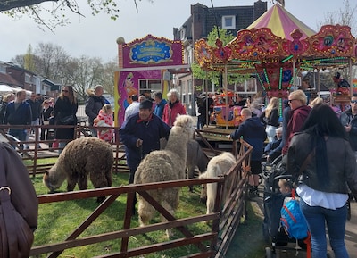 Braderie in Hengelo ligt onder vuur: ‘Dieren staan in de pokkenherrie, meteen verbieden’