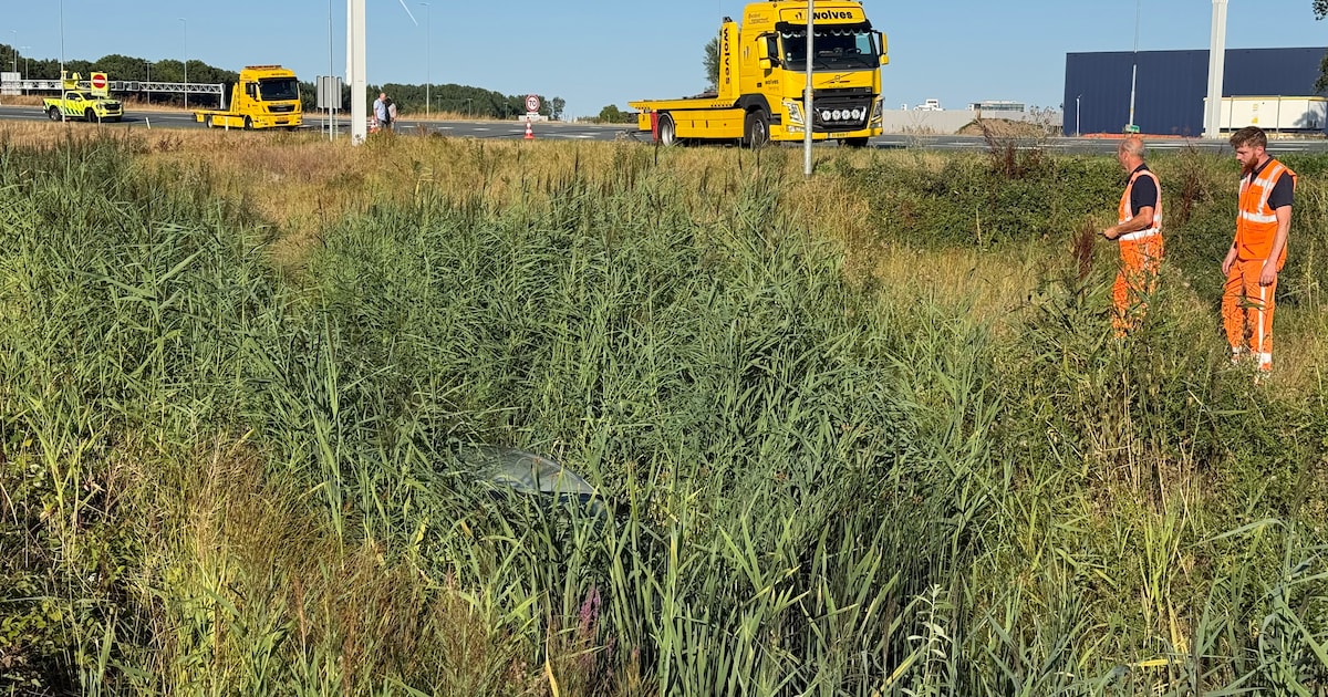 Bestuurder belandt tussen riet bij afrit van A1 bij Deventer