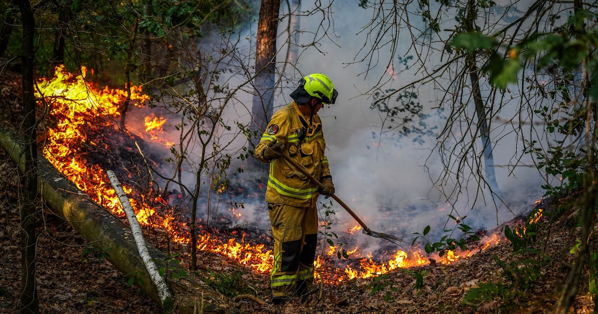 Brandweer Twente ook volop in touw bij natuurbrand in Limburg