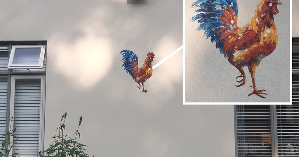 Dit stuurden jullie in: Wat doet die haan in Diepenveen? • Okkenbroek bereidt zich voor op groot fee