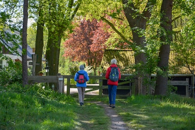 Hekjes, bruggetjes en uitdagende loopplanken tussen Almelo, Bornerbroek en Zenderen