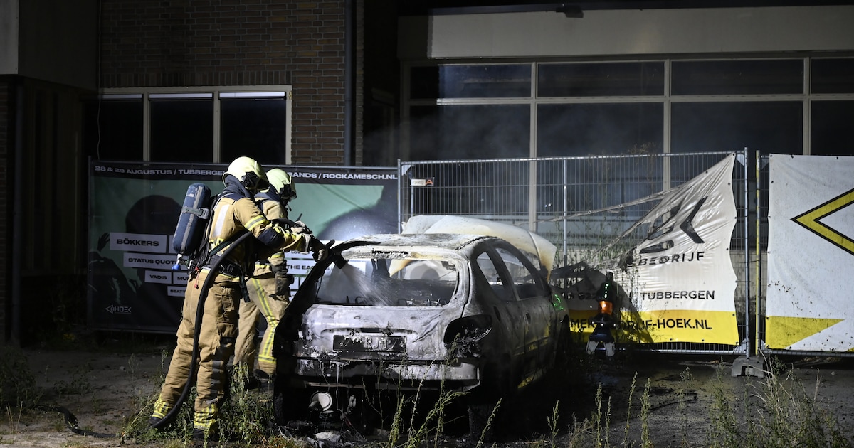 Geparkeerde auto volledig uitgebrand in Harbrinkhoek
