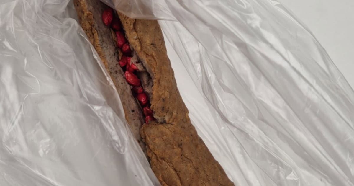 Frikandel met rattengif in de tuin in Lichtenvoorde gegooid: hondenbaasje komt daar op tijd achter