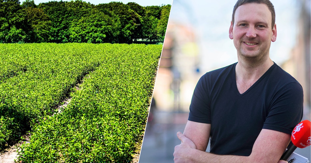 Vandaag in de Hof: Lochem wil Hof van Twente achterna