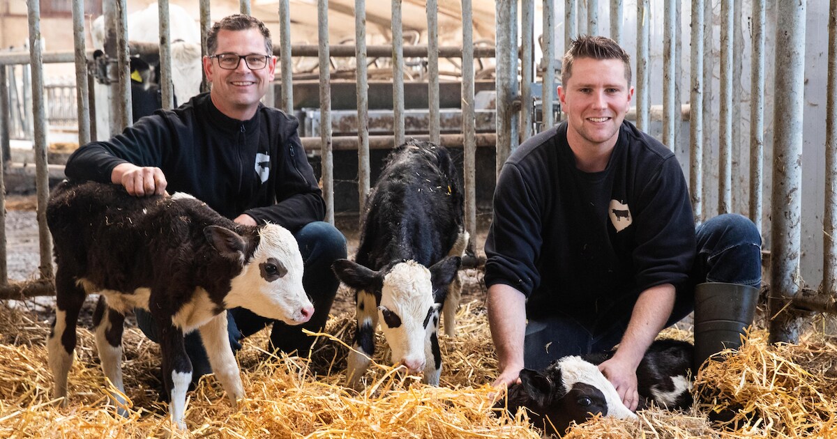 Kenn kijkt nóg een keer bij koe Wilhelmina en haar pasgeboren tweeling, dan slaat de verbazing toe
