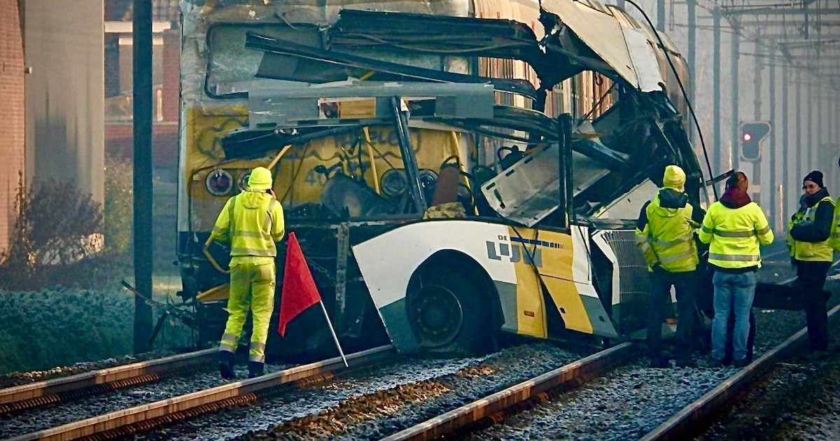 Trein ramt bus op Belgisch spoor: chauffeur kan passagiers op tijd ...