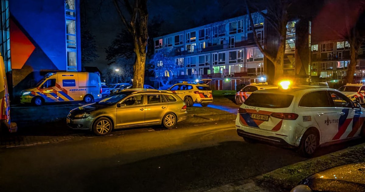 Man mishandelt agent in Enschede, politie zet stroomstootwapen in