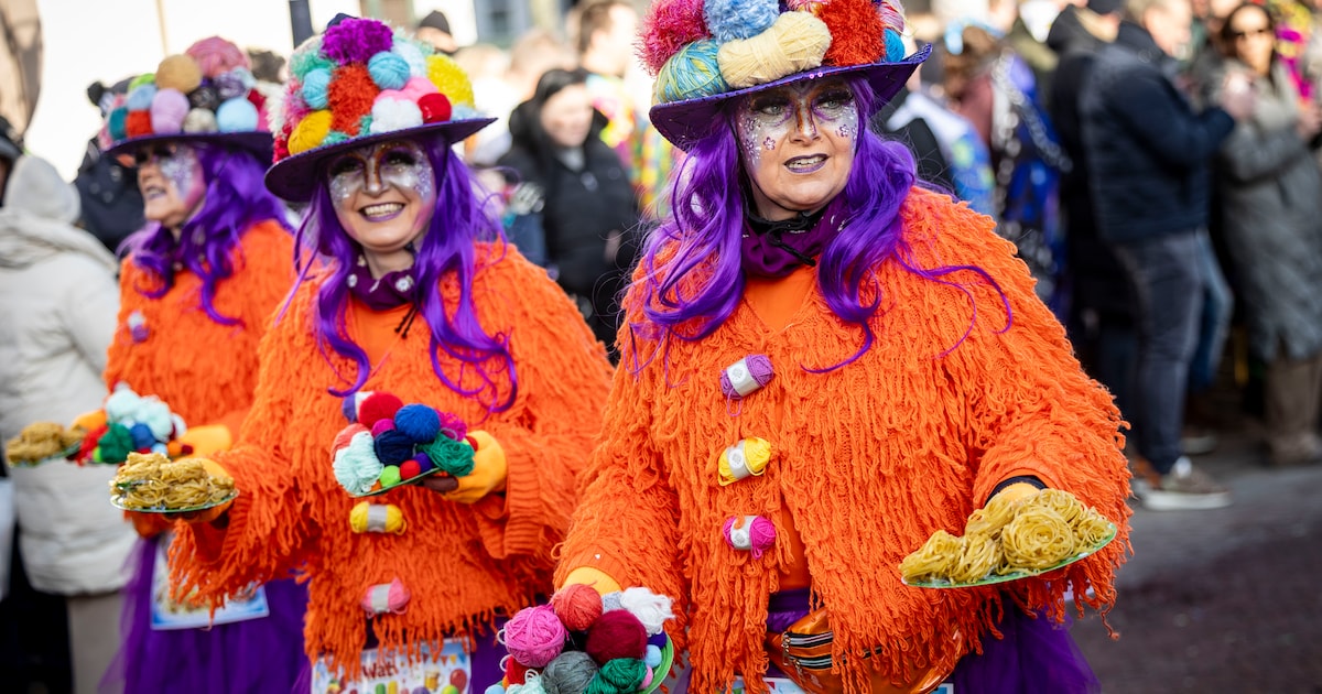 Fotoreportage | Dit was De Grote Twentse Carnavalsoptocht in Oldenzaal