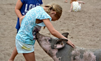 Een kijkje in de stal: deze varkensboerderij vlak bij Almelo zet de deuren open