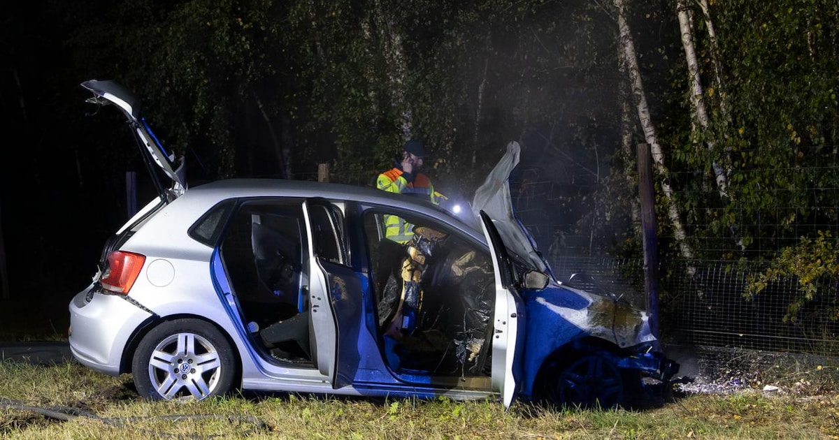 Automobiliste raakt gewond bij nachtelijke botsing op A1 bij Rijssen