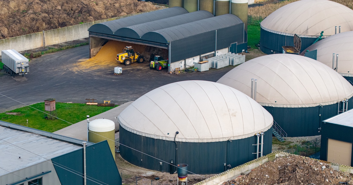 Groen Gas Goor vecht opnieuw dwangsommen provincie aan: ‘Hier is sprake van willekeur’