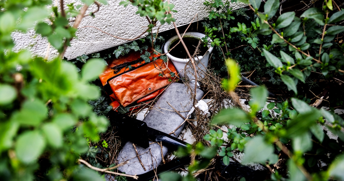 Met knikkende knieën spreekt Wim een asociale man aan, zijn reactie verrast hem volledig