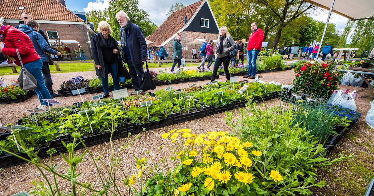 Een late koningsnacht, voorjaarsfairs en dodenherdenking: dit is er te doen in Berkelland
