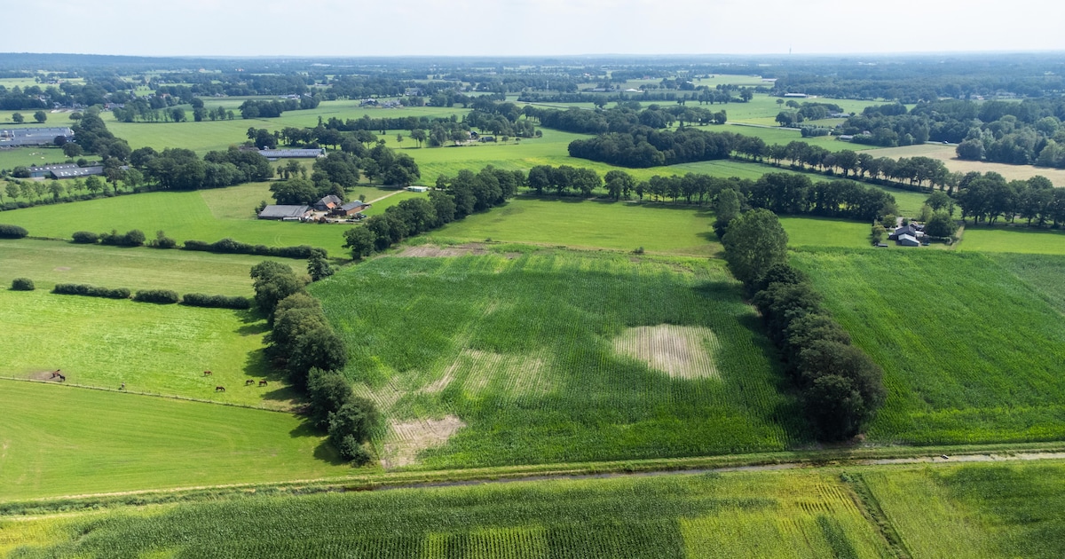Vergunning zonnepark Bathmen ingetrokken na gemiste regel: hele traject moet opnieuw