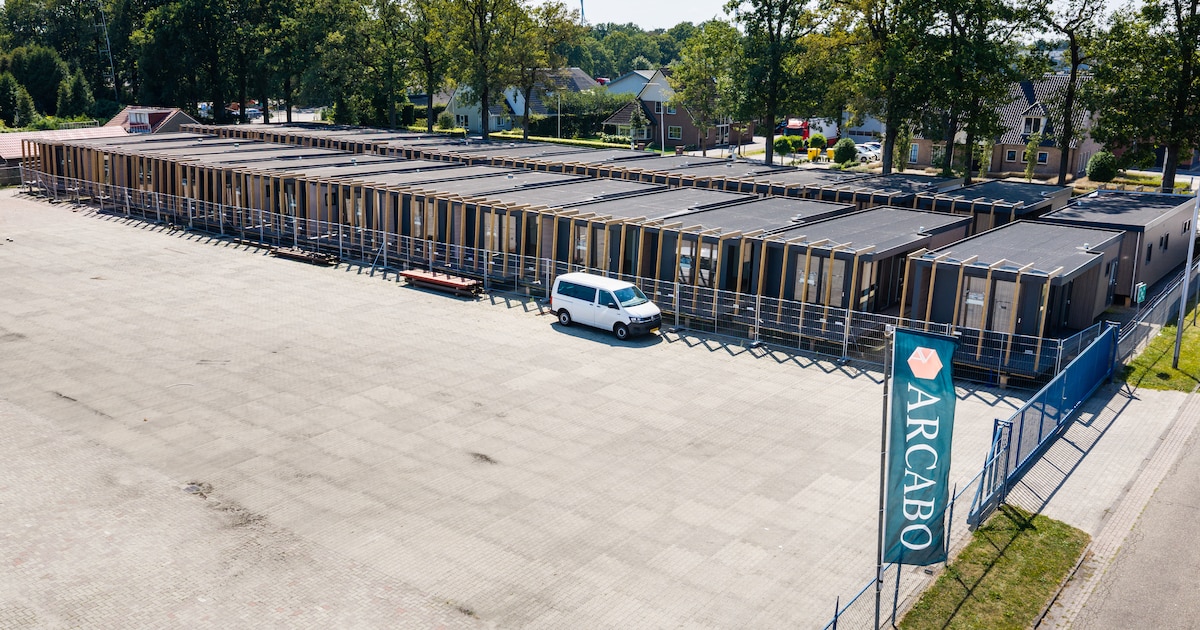 Chaletbouwer Nieuwleusen in wurggreep van Texels park: hoe een miljoenendeal muurvast zit