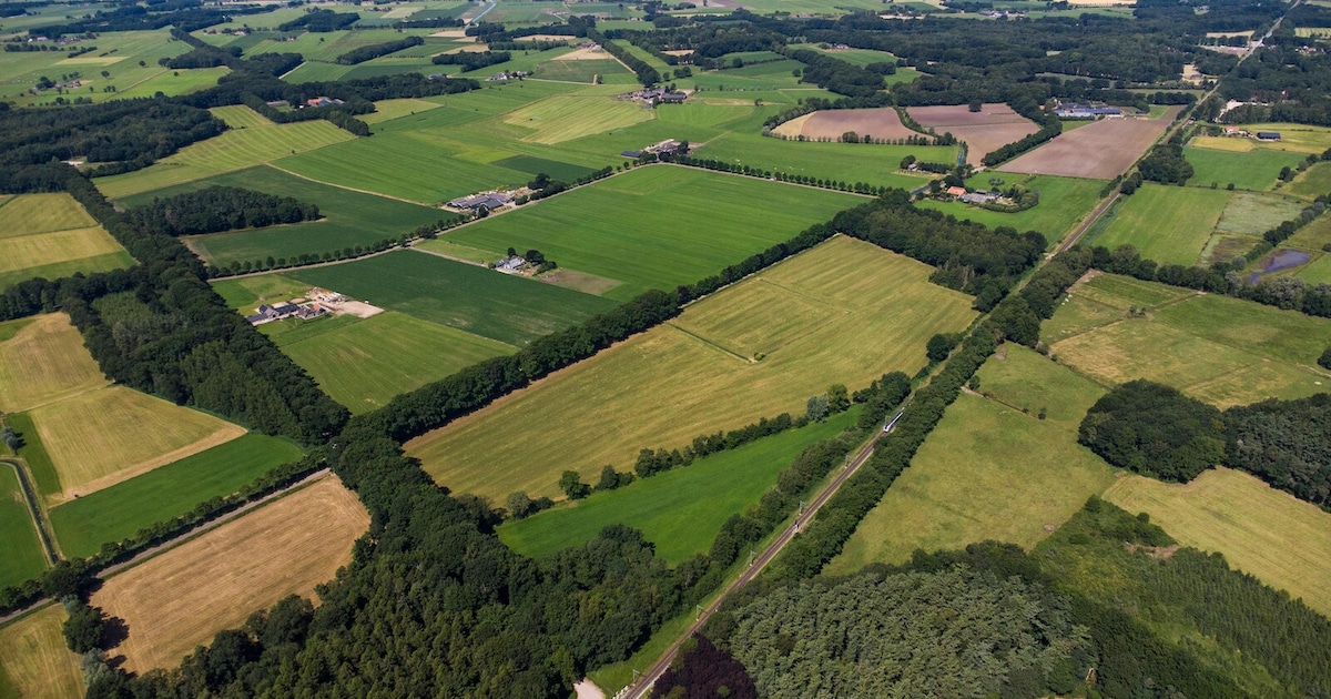 Omwonenden leveren kritiek op zonnepark Raalte: ‘Kijk ook naar wat er verloren kan gaan’