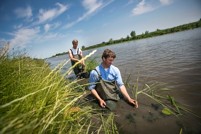 Loolee krijgt natuurvriendelijke oevers
