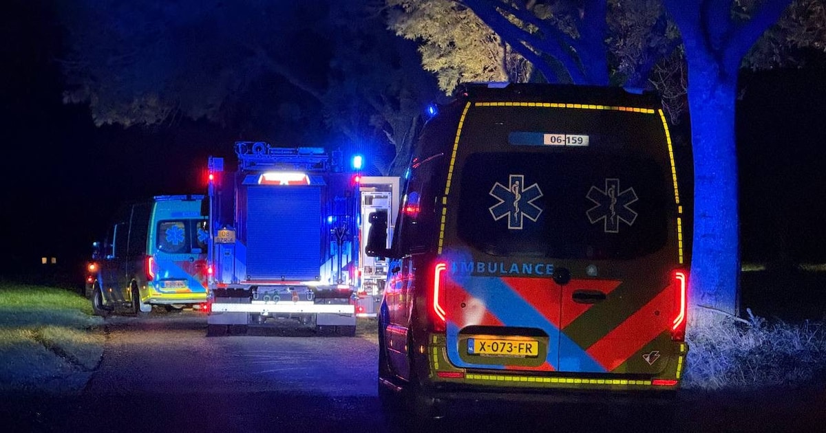 Persoon overleden bij ernstig ongeluk: auto ramt boom, reanimatie mag niet meer baten