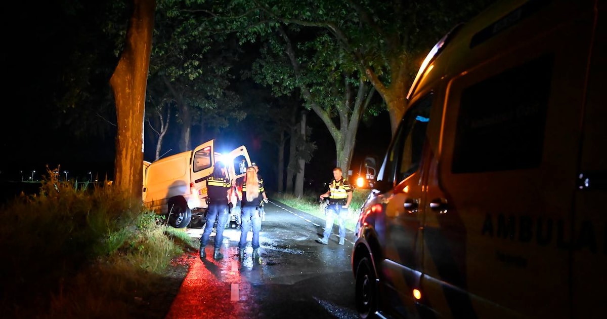 Bestelbus botst tegen boom in Vriezenveen: bestuurder gewond