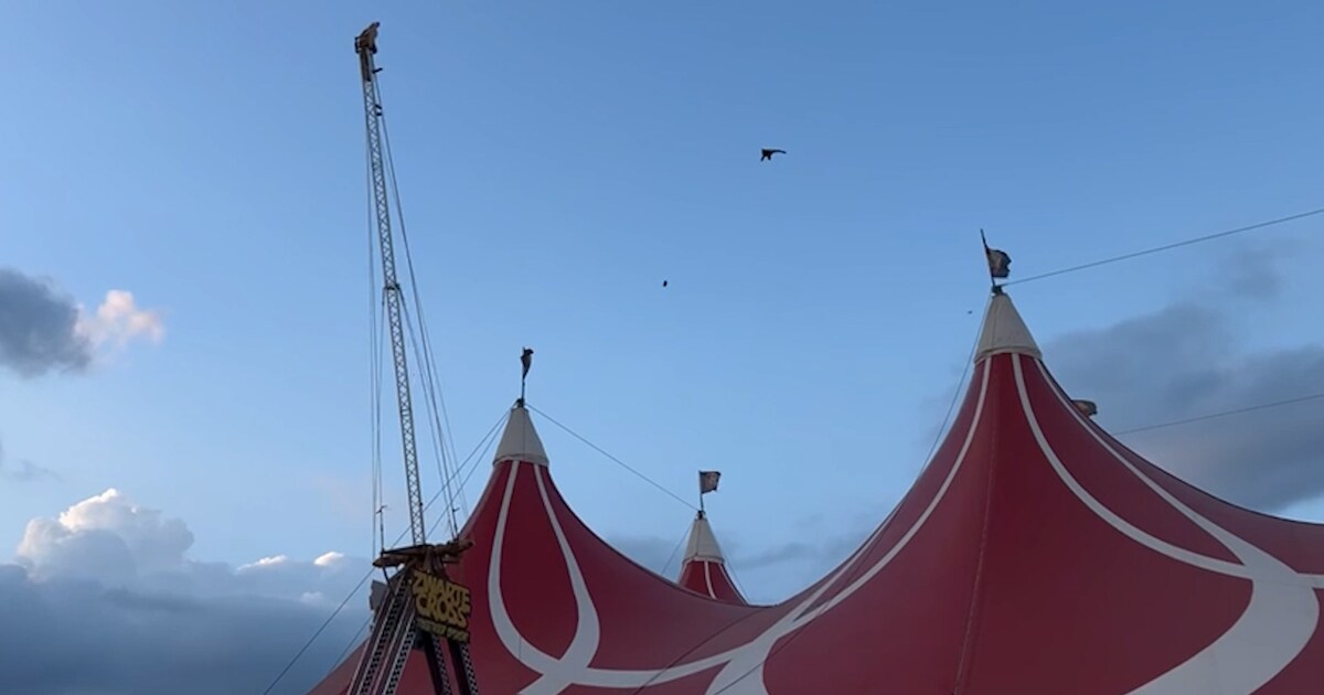 KIJK | Ook tweede stuntman gewond na sprong met mega katapult op Zwarte Cross