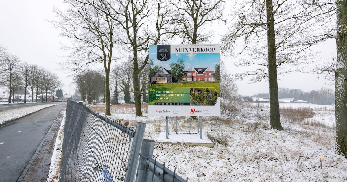 Mooi plan bleek te ambitieus: dit is waarom er nog niets is gebeurd bij Berg en Dal in De Lutte