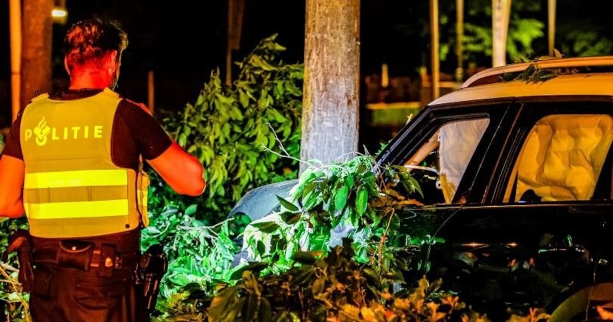 Auto botst tegen boom op Oliemolensingel in Enschede: bestuurder nergens te bekennen