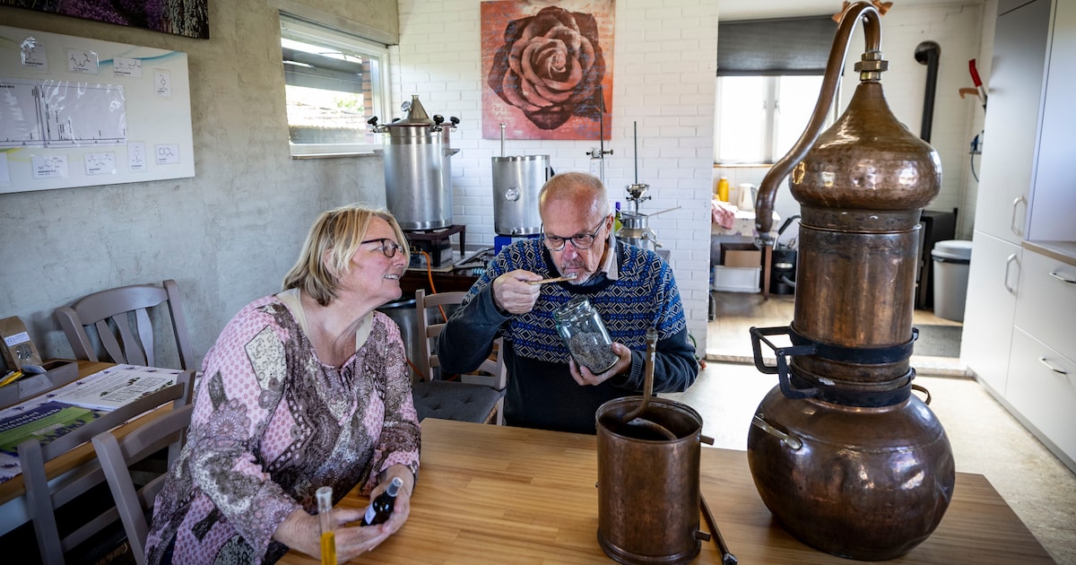 Als bezoekers wegzakken, weten Henk en Catharina hoe laat het is