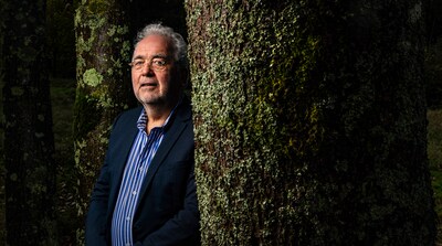 Dissidenten winnen in strijd om de senaatsfractie van de Partij voor de Dieren