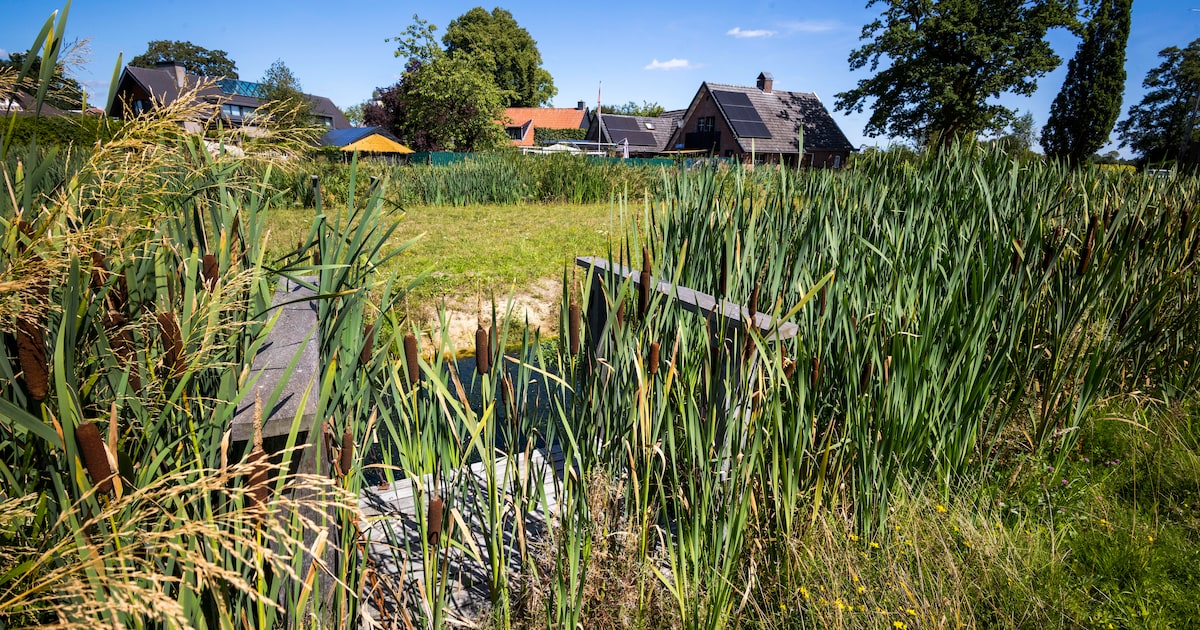 Losser, denk mee over het Raadhuisplein voordat het ook een soort Bleek wordt...