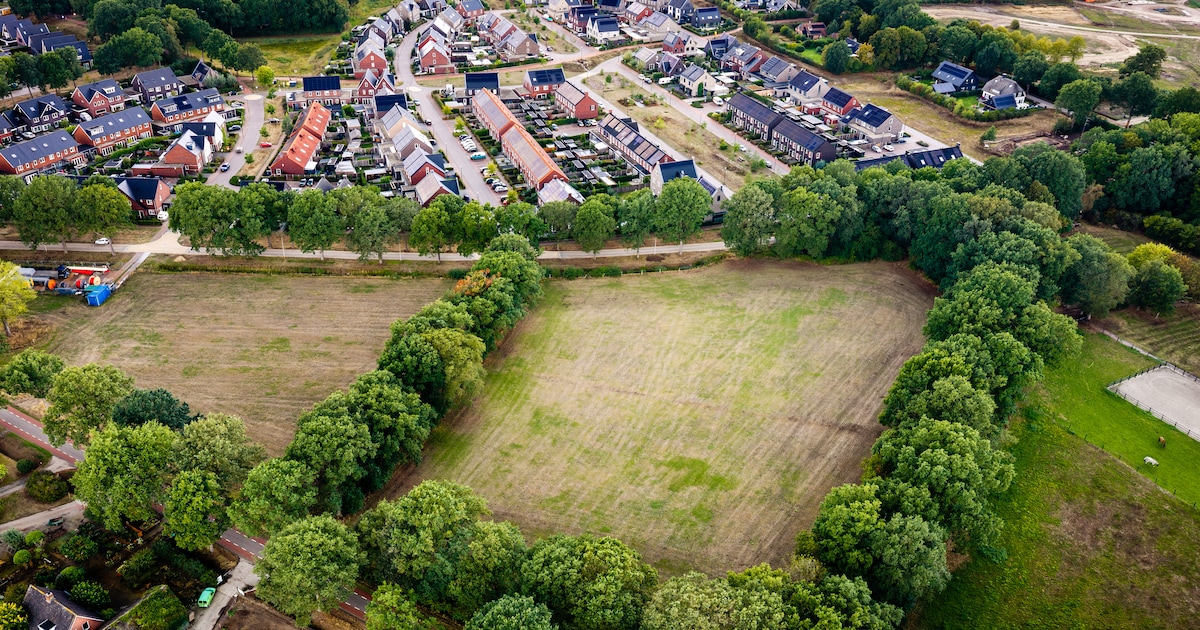 Ideaal grasveld voor honden in Dalfsen? Toch weer streep door losloopgebied