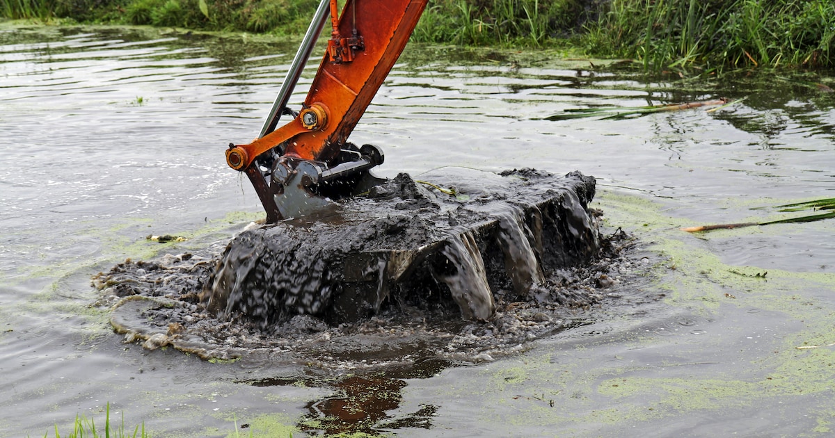 Baggerkranen en een tijdelijke brug: groot onderhoud aan het Zwolsekanaal in Vroomshoop