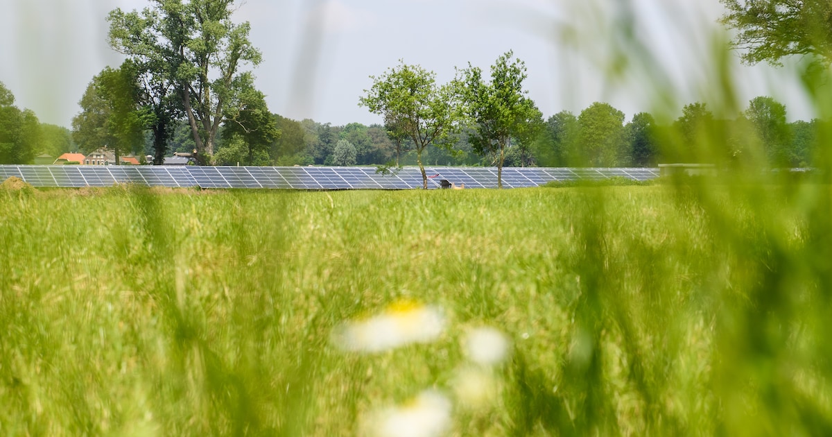 Gemeente kan niet handhaven bij zonnepark: vergunning spreekt zichzelf tegen