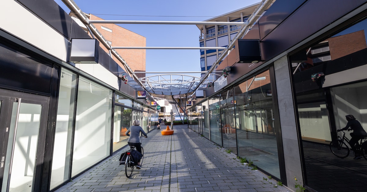 Leegstand is smetje op bejubelde binnenstad van Hengelo (maar hoe erg is het nou eigenlijk?)