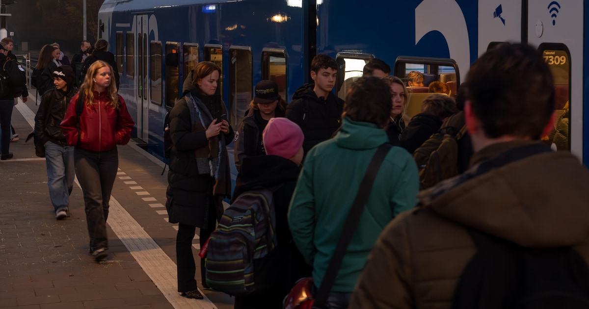 De trein naar Zwolle is ‘s ochtends overvol en daar is één duidelijke reden voor