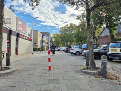 Deze fietser is gek op rood-witte afzetpalen: even stoppen, uit de grond trekken en weg is hij