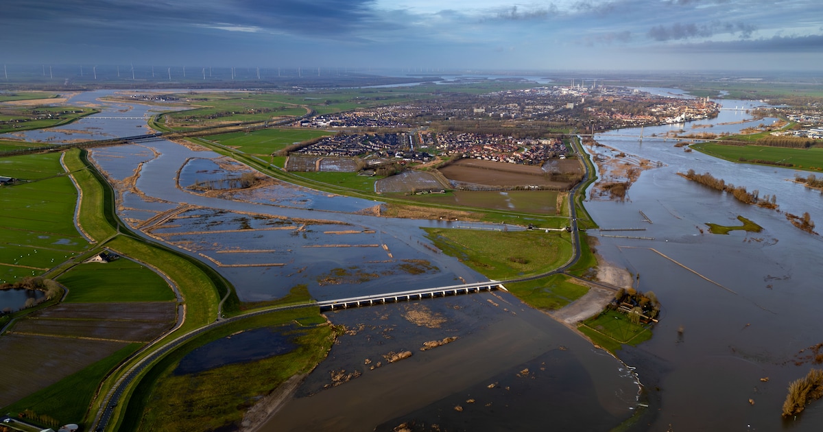 Ruimte voor de Rivier 2.0 is onderweg: dit betekent het voor jouw gemeente langs de IJssel | Foto