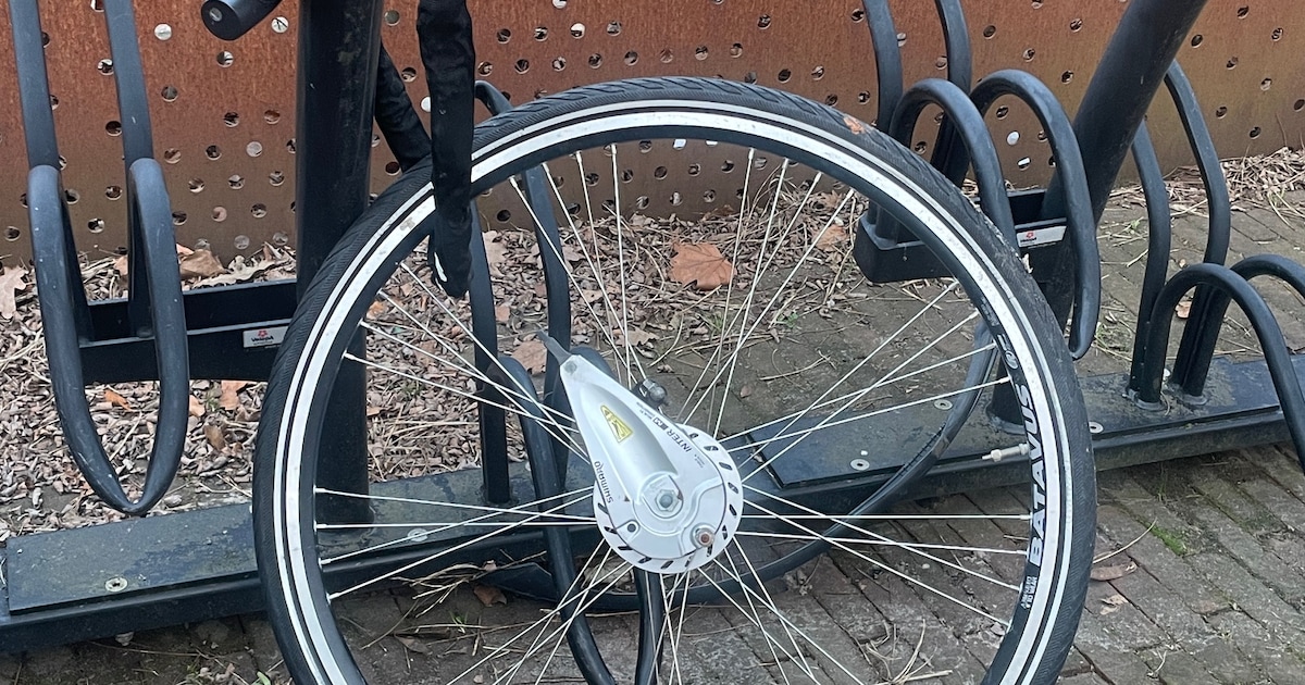 Fietsen slopen en dan het voorwiel vastmaken: opmerkelijk stukje vandalisme bij station Almelo