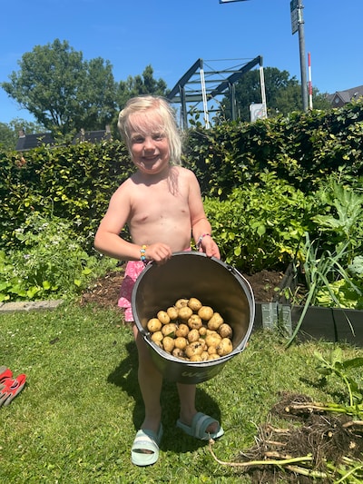 Guusje (3) uit Vroomshoop viert haar eigen ‘oogstfeest’: ‘De radijsjes prikken wel een beetje, mama’