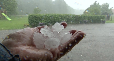 Code geel in groot deel van Nederland om onweersbuien, hagel