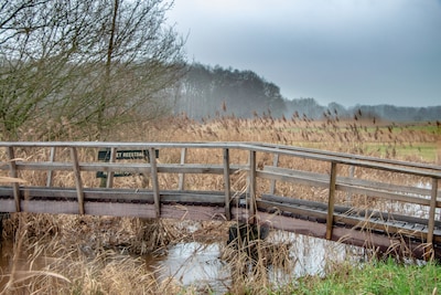 Gaat Overijssel haar natuurdoelen halen? Drie fracties vrezen van niet