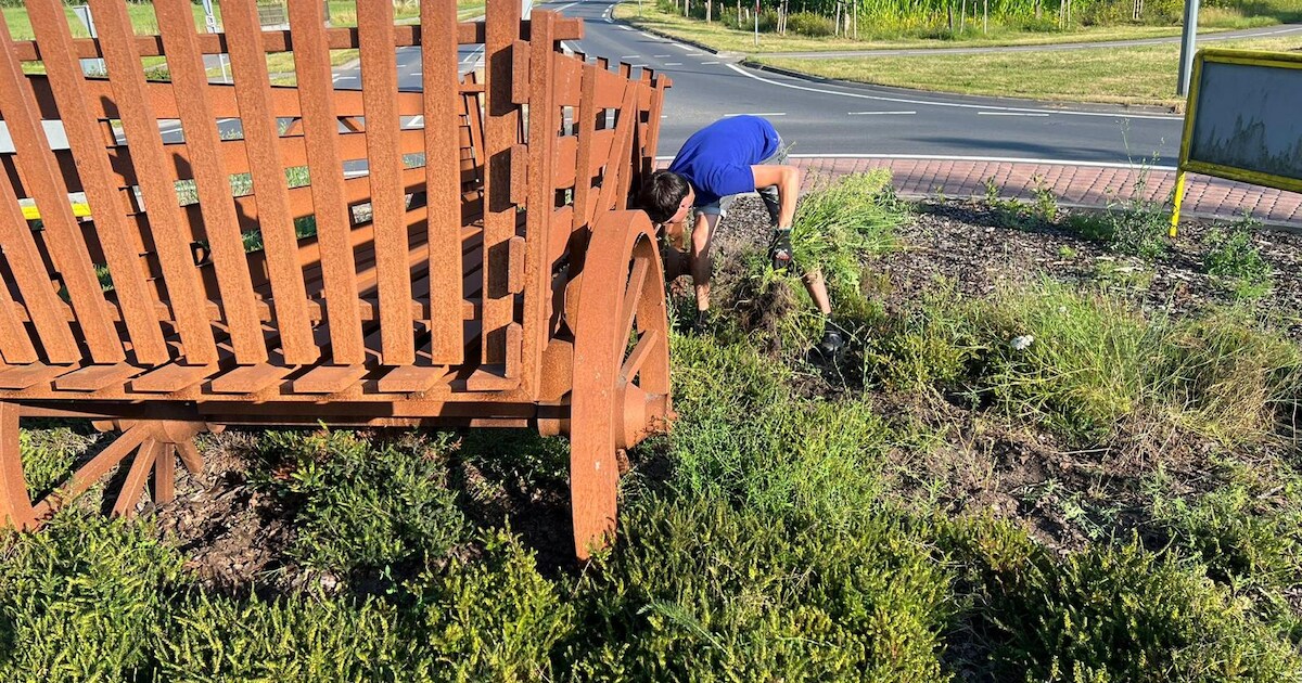 Jongeren van De Klippels uit Langeveen hebben het onkruid van de rotonde in hun dorp verwijderd. © D