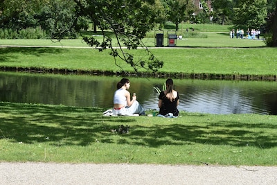 Geen ticket to the tropics nodig: dit is het weerbericht voor de zomervakantie in Almelo