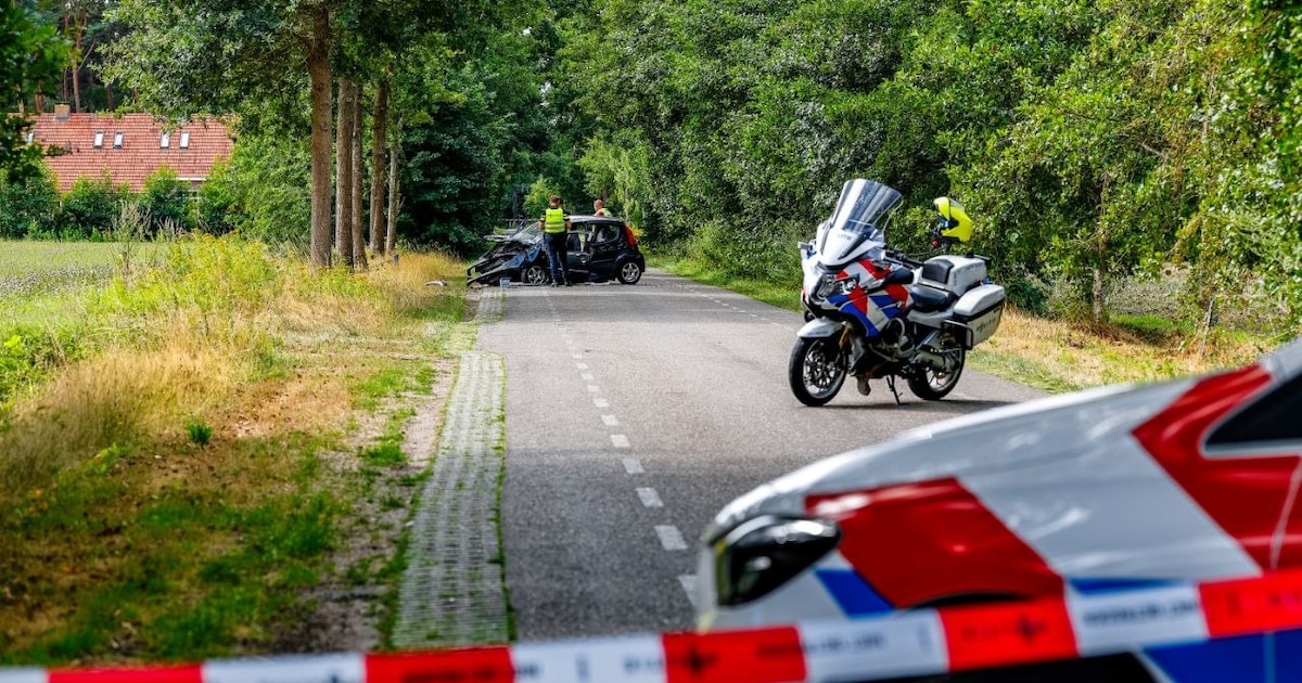 Bestuurster gewond na botsing tegen boom in Haaksbergen