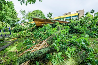 Bewoners Schipholtstraat kunnen weer veilig hun tuin in: asbest is opgeruimd