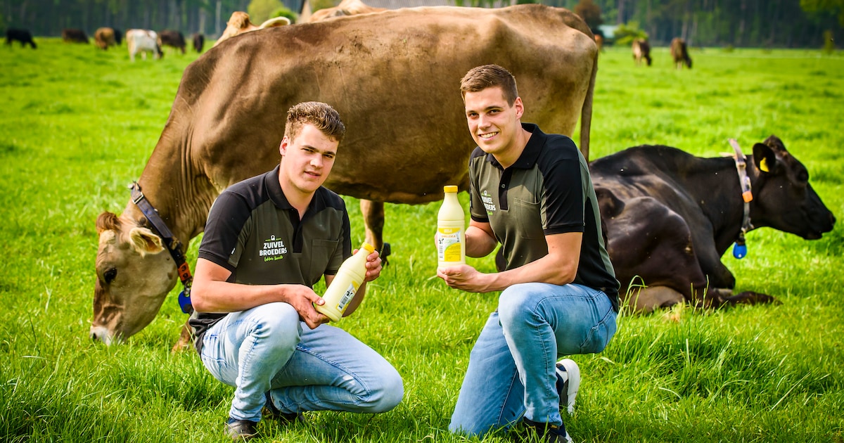 zuivelbroeders-bart-en-erwin-uit-hengevelde-winnen-startersprijs-midden