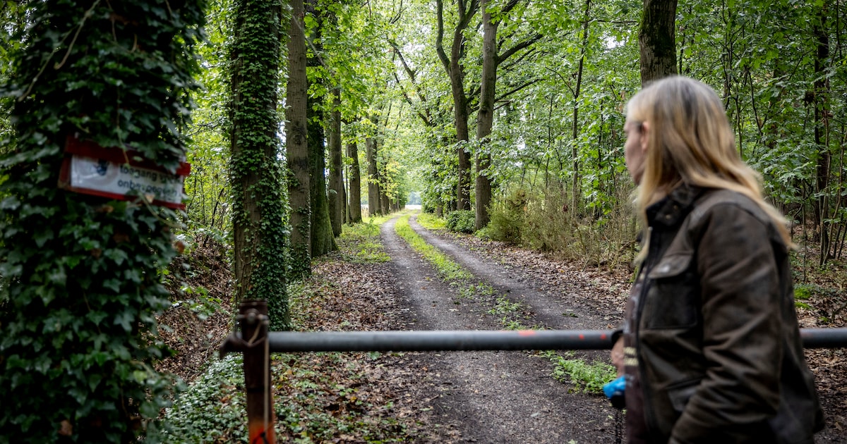 Al zeven jaar ligt camping er verlaten bij: ruziënde rentmeester bracht onrust op landgoed Twickel