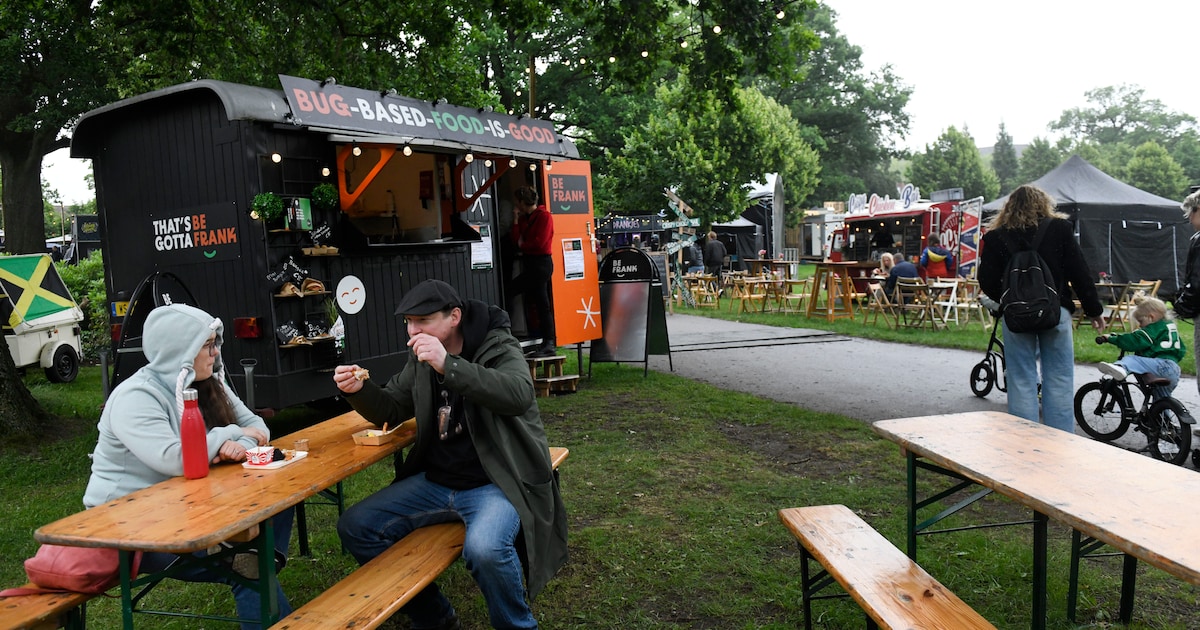 Stoere kerels eten krekels op foodtruckfestival Stoer Voer: ‘Een heel klein burgertje graag’