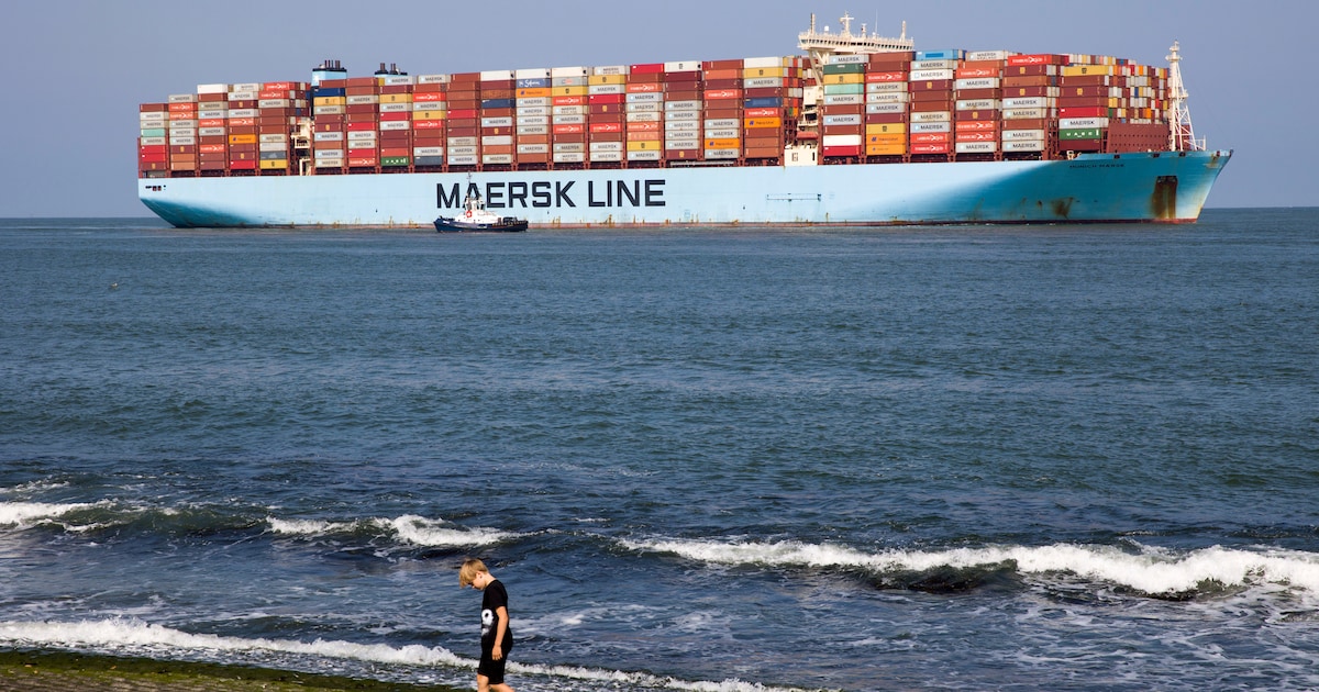 Van ‘top of the wave’ naar faillissement: dit ging mis bij handelsbedrijf in Nunspeet