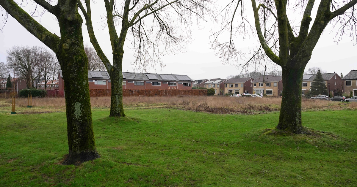 Buurtbewoners trekken aan de bel over bouwplan in Oldenzaal: ‘Moet goed geregeld zijn’
