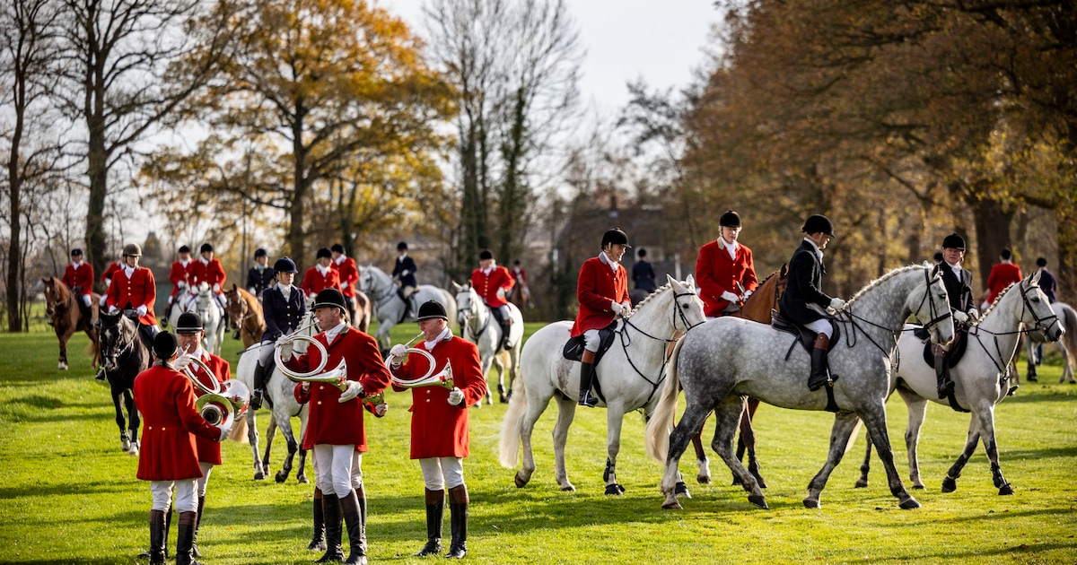 Ga op vossenjacht of doe mee aan een winterwandeling: dit is er weekend te doen in Berkelland